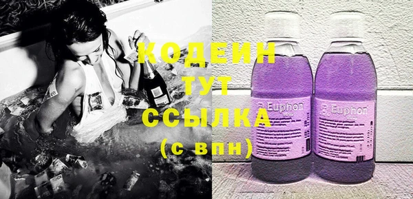 молекула духа Дмитровск
