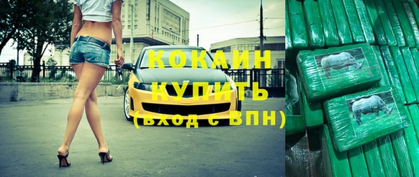 индика Орск