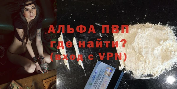 индика Орск