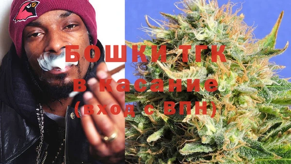 индика Орск