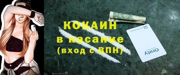 индика Орск