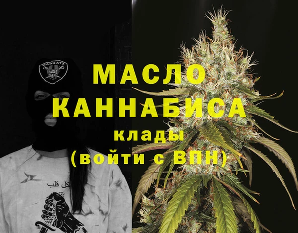 индика Орск