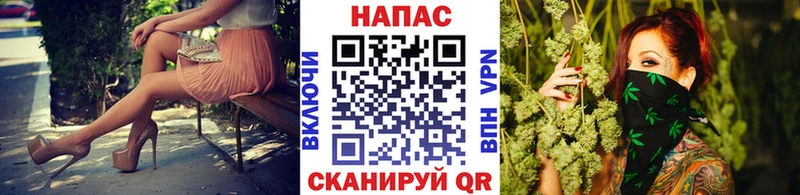 Канабис конопля  Кирсанов 